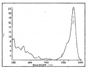 Figure 1. UV Scan of Rhodamine B in Mobile Phase