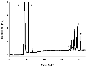 Figure 3.5.1. A chromatogram of 303 g/mL DHP in toluene with 0.25 L/mL n-hexyl benzene internal standard.