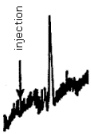 Chromatogram of the analytical detection limit