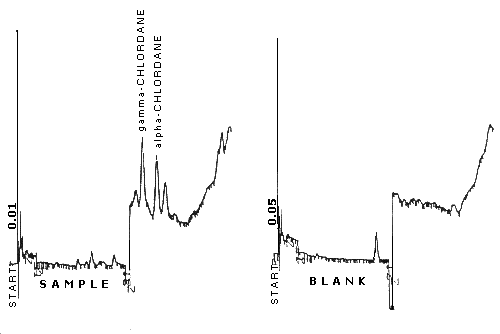 Chromatogram of technical grade chlordane at the detection limit (7.63 pg/injection) compared to a blank